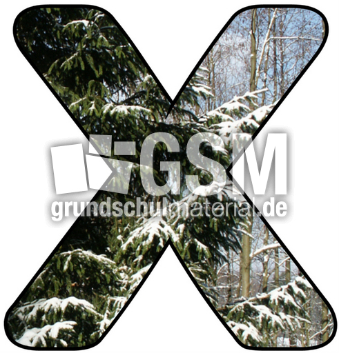 Winter-Buchstabe-X.jpg